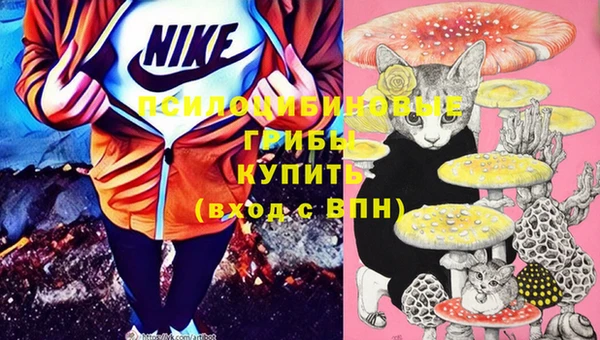 дмт Алзамай